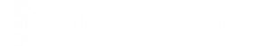 Logo vdn medium